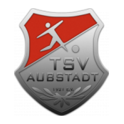 维尔茨堡踢球者